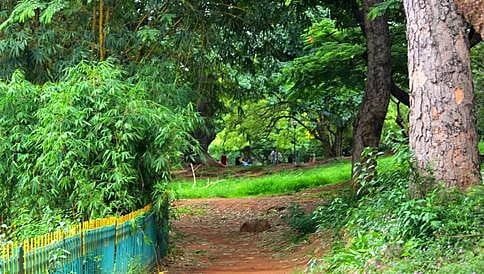 ಅರಣ್ಯ ಇಲಾಖೆಯಿಂದ ರಾಜ್ಯದ ಎಲ್ಲಾ ಜಿಲ್ಲೆಗಳಲ್ಲೂ 'ಮಿನಿ ಲಾಲ್ ಬಾಗ್' ನಿರ್ಮಾಣ
