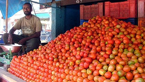 ಗಗನಕ್ಕೇರಿದ ಟೊಮಾಟೋ ದರ: ಕೆಜಿಗೆ 80 ರಿಂದ 100 ರು.