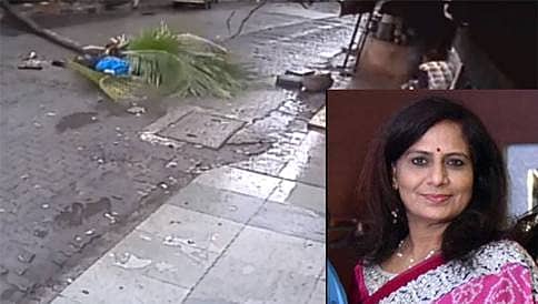 ಮುಂಬೈ: ವಾಕಿಂಗ್ ಮಾಡುತ್ತಿದ್ದ ವೇಳೆ ತೆಂಗಿನ ಮರ ಉರುಳಿ ಬಿದ್ದು ಮಹಿಳೆ ಸಾವು