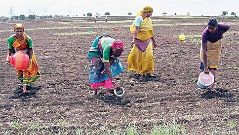 ಮುಂಗಾರು ಮಳೆ ದುರ್ಬಲ: ಪರ್ಯಾಯ ಯೋಜನೆ ಕೈಗೊಂಡಿರುವ ಕೃಷಿ ಇಲಾಖೆ