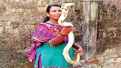 ಹಾವು ಹಿಡಿಯುವ ಕಾಯಕದಲ್ಲಿ ತೊಡಗಿರುವ ಚಾಲಕಿ ರಾಜಿ
