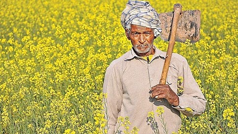 ಉತ್ತರ ಪ್ರದೇಶ: ರೂ.10 ರಿಂದ ರೂ.500 ರವರೆಗೆ ರೈತರ ಸಾಲ ಮನ್ನಾ!