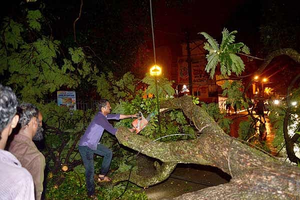 Story image