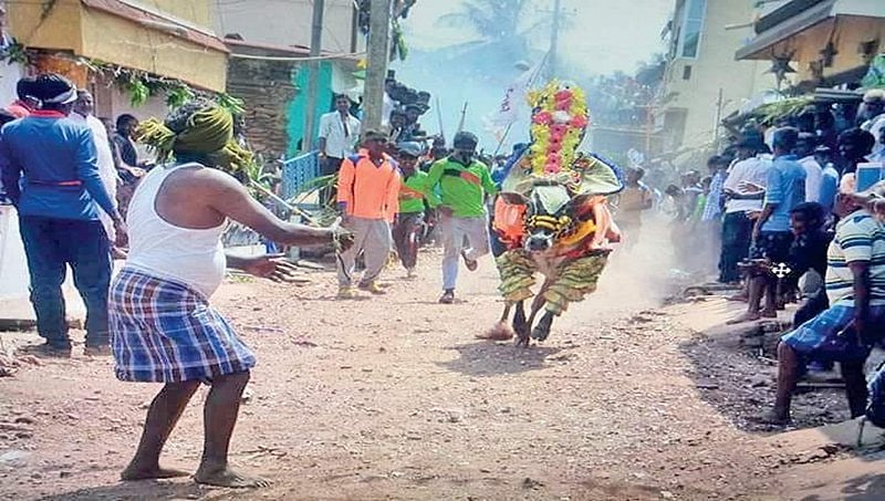 ಹಿರೇಕೆರೂರು: ಹೋರಿ ಬೆದರಿಸುವ ಸ್ಪರ್ಧೆ ವೇಳೆ ಓರ್ವ ಸಾವು, ಐವರಿಗೆ ಗಾಯ