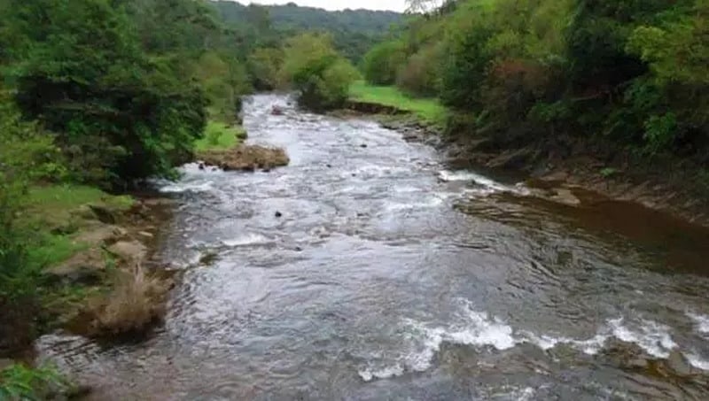 ಕುಡಿಯುವ ಉದ್ದೇಶಕ್ಕೆ ನೀರು ಬೇಕು ಎಂದು ಕರ್ನಾಟಕ ಸುಳ್ಳು ಹೇಳುತ್ತಿದೆ: ಗೋವಾ ಸರ್ಕಾರ