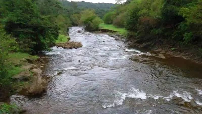 ಕುಡಿಯುವ ಉದ್ದೇಶಕ್ಕೆ ನೀರು ಬೇಕು ಎಂದು ಕರ್ನಾಟಕ ಸುಳ್ಳು ಹೇಳುತ್ತಿದೆ: ಗೋವಾ ಸರ್ಕಾರ