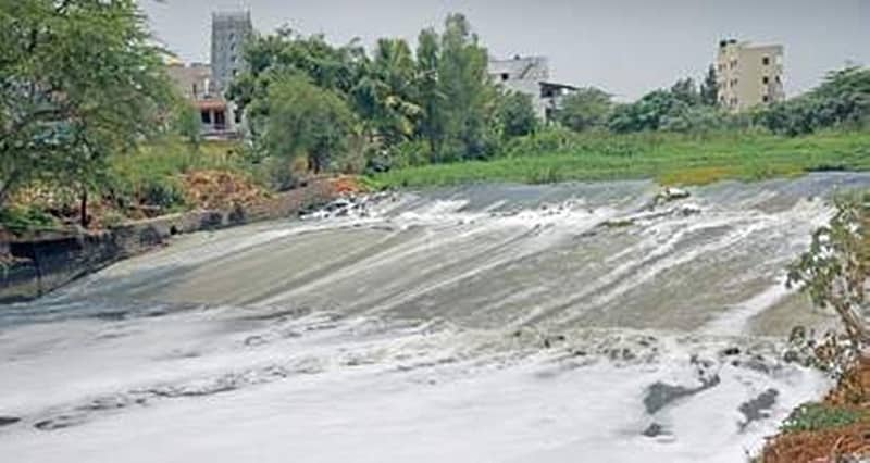 ಬೆಳ್ಳಂದೂರು ಕೆರೆ ಮಾಲಿನ್ಯ: ಸಮಸ್ಯೆ ಬಗೆಹರಿಸುವ ಯೋಜನೆ ಸಲ್ಲಿಸುವಂತೆ ರಾಜ್ಯ ಸರ್ಕಾರಕ್ಕೆ ಎನ್ ಜಿಟಿ ಸೂಚನೆ