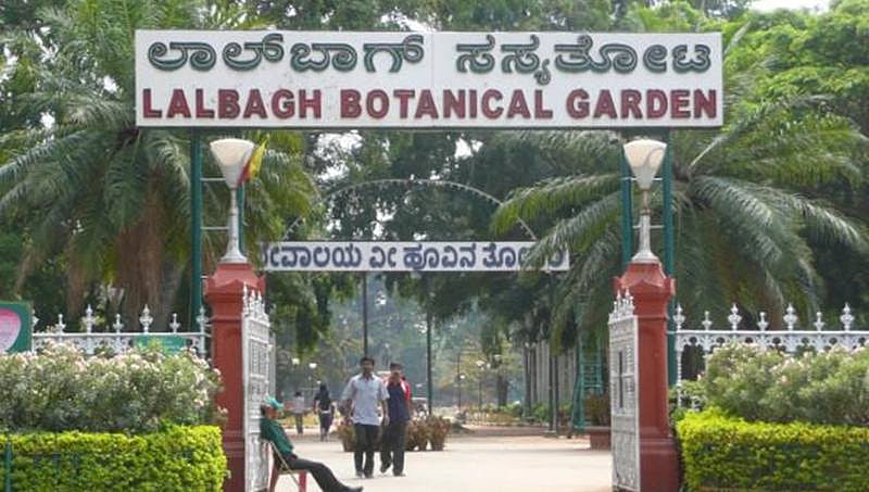 ಬೆಂಗಳೂರಿನಲ್ಲಿ ಜಲಕ್ಷಾಮ: ಸಾವಿರಾರು ಮರ-ಗಿಡಗಳಿಗೆ ನೀರುಣಿಸಲು ಲಾಲ್ಬಾಗ್ ಹೆಣಗಾಟ!
