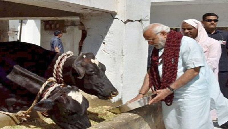 ಗೋ ಮಹತ್ವ ಸಾರಲು ಫೆ.2ರಂದು ಬಿಜೆಪಿಯಿಂದ ಬೆಂಗಳೂರಿನಲ್ಲಿ ಗೋ ರಕ್ಷಾ ಯಜ್ಞ!