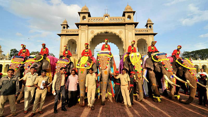 ನಾಡಿನೆಲ್ಲೆಡೆ ವಿಜಯದಶಮಿ ಸಂಭ್ರಮ, ಮೈಸೂರಿನಲ್ಲಿ ಐತಿಹಾಸಿಕ ಜಂಬೂ ಸವಾರಿ ಕ್ಷಣಗಣನೆ ಆರಂಭ