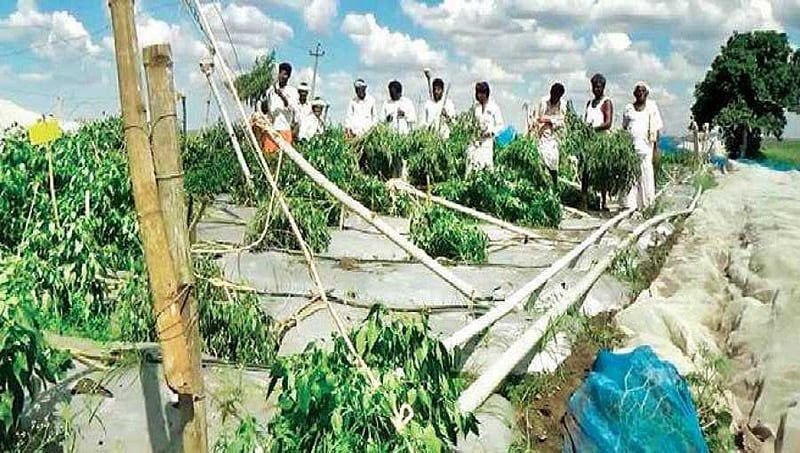 ಬಳ್ಳಾರಿ: ಭಾರೀ ಮಳೆಗೆ ಮನೆ, ಬೆಳೆ ನಾಶ, ರೈತರಲ್ಲಿ ಆತಂಕ