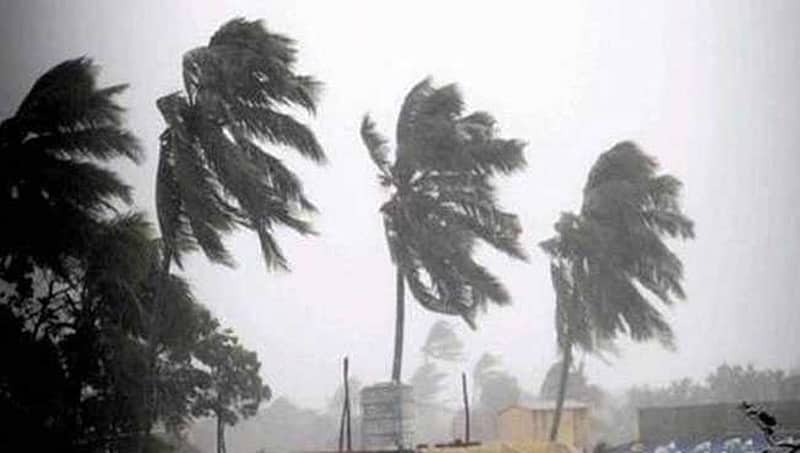 'ಗಜ' ಅಬ್ಬರಕ್ಕೆ ತಮಿಳುನಾಡಿನಲ್ಲಿ 13 ಮಂದಿ ಬಲಿ, 81 ಸಾವಿರ ಜನರ ಸ್ಥಳಾಂತರ
