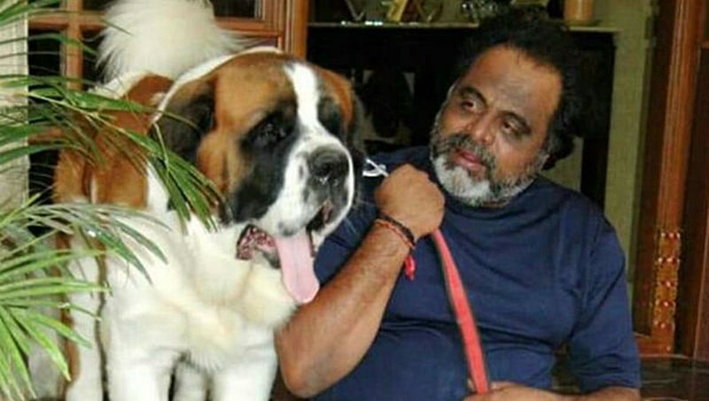 ಚಿರನಿದ್ರೆಗೆ ಜಾರಿಗೆ ಕಲಿಯುಗದ ಕರ್ಣ: ಮಾಲೀಕನ ನೆನೆದು ಕಣ್ಣೀರಿಡುತ್ತಿದೆ ಅಂಬಿ ಸಾಕಿದ ಶ್ವಾನಗಳು!