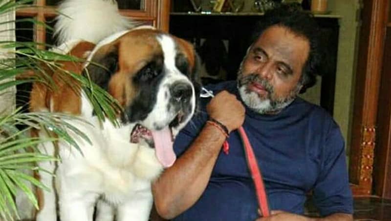 ಚಿರನಿದ್ರೆಗೆ ಜಾರಿಗೆ ಕಲಿಯುಗದ ಕರ್ಣ: ಮಾಲೀಕನ ನೆನೆದು ಕಣ್ಣೀರಿಡುತ್ತಿದೆ ಅಂಬಿ ಸಾಕಿದ ಶ್ವಾನಗಳು!