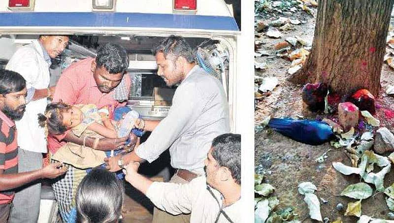 ವಿಷ ಪ್ರಸಾದ ದುರಂತಕ್ಕೆ ಕಾರಣವಾಯಿತೇ ಜಮೀನು ವಿವಾದ, ದ್ವೇಷ, ದೇಗುಲದ ಆದಾಯ ಮೇಲೆ ಕಣ್ಣು?