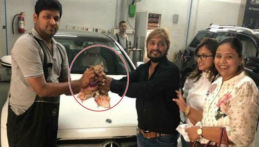 ಬೆಕ್ಕಿನ ಮರಿಗಾಗಿ ಕೋಟಿ ಬೆಲೆಯ ಮರ್ಸಿಡಿಸ್ ಬೆಂಝ್ ಕಾರನ್ನೇ ಡ್ಯಾಮೇಜ್ ಮಾಡಿಕೊಂಡ ಉದ್ಯಮಿ!