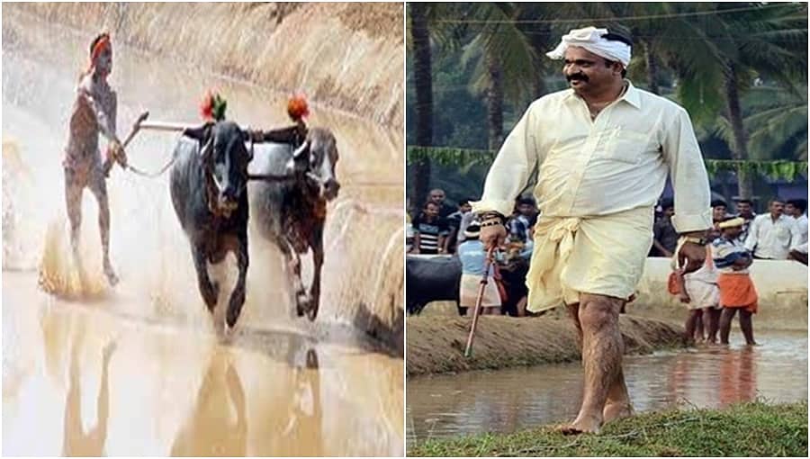 ಕಂಬಳ ಕ್ಷೇತ್ರದ ದಿಗ್ಗಜ ವಿನು ವಿಶ್ವನಾಥ ಶೆಟ್ಟಿ ವಿಧಿವಶ