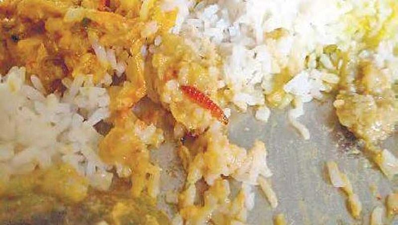 ಹುಲಿತೊಟ್ಲು ವಿಷಾಹಾರ ಸೇವಿಸಿ ನಾಲ್ವರ ದುರ್ಮರಣ: ಇಂದು ವಿಧಿವಿಜ್ಞಾನ ಪ್ರಯೋಗಾಲಯ ವರದಿ