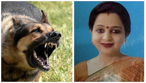 ಸಿಆರ್ ಪಿಎಫ್ ಅಧಿಕಾರಿಯ ನಾಯಿ ಕಡಿತ: ಪೊಲೀಸರಿಗೆ ದೂರು ನೀಡಿದ ಪ್ರೊಫೆಸರ್