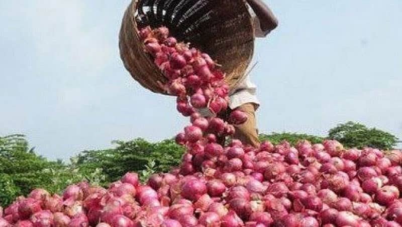 ತಾನು ಬೆಳೆದ 750ಕೆಜಿ ಈರುಳ್ಳಿ ಮಾರಿ 1,064 ರೂ. ಗಳಿಸಿದ ರೈತ ಆ ಹಣವನ್ನು ಏನು ಮಾಡಿದ ಗೊತ್ತಾ!