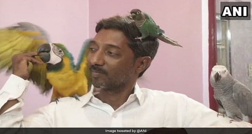 ಕಲಬುರಗಿ : ರಾಜ್ಯದ ಈ ಪಶುವೈದ್ಯರ ಬಳಿ ಇವೆ 29 ರಾಷ್ಟ್ರದ ಗಿಣಿಗಳು!