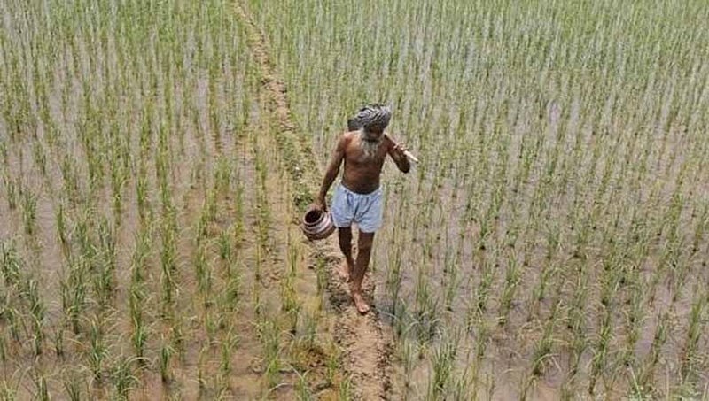 ಕೃಷಿ ರಫ್ತು ನೀತಿಗೆ ಕೇಂದ್ರ ಸಚಿವ ಸಂಪುಟ ಅನುಮೋದನೆ: ಇದರಿಂದಾಗುವ ಲಾಭಗಳೇನು? ಇಲ್ಲಿದೆ ವಿವರ