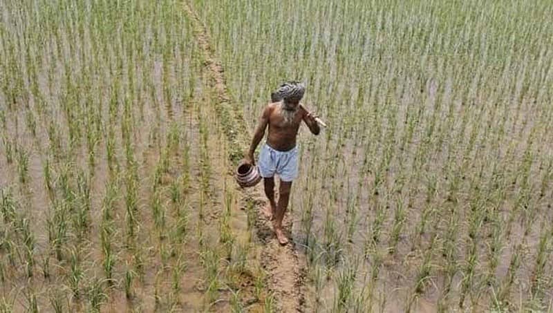 ಕೃಷಿ ರಫ್ತು ನೀತಿಗೆ ಕೇಂದ್ರ ಸಚಿವ ಸಂಪುಟ ಅನುಮೋದನೆ: ಇದರಿಂದಾಗುವ ಲಾಭಗಳೇನು? ಇಲ್ಲಿದೆ ವಿವರ
