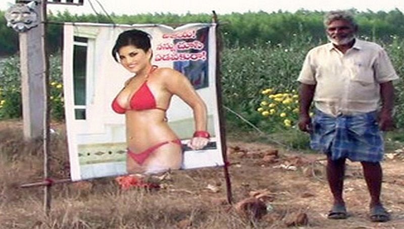 ಕೆಟ್ಟ ದೃಷ್ಟಿಯಿಂದ ಬೆಳೆಯನ್ನು ರಕ್ಷಿಸಲು ಗದ್ದೆಯಲ್ಲಿ  ಸನ್ನಿ ಲಿಯೋನ್ ಚಿತ್ರ! ಆಂಧ್ರ ರೈತನಿಂದ ವಿಚಿತ್ರ ಪ್ರಯೋಗ