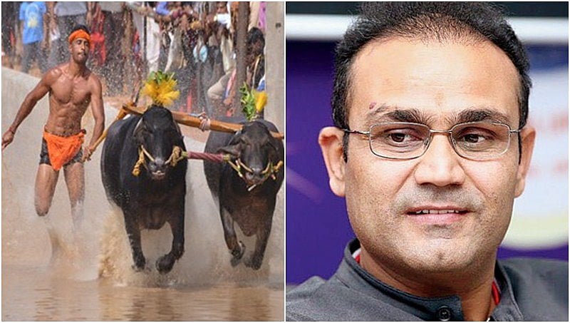 ಕಂಬಳ ಬೆಂಬಲಿಸಿ ವೀರೇಂದ್ರ ಸೆಹ್ವಾಗ್ ಟ್ವೀಟ್, ಮನಸೋತ ಕನ್ನಡಿಗರು!