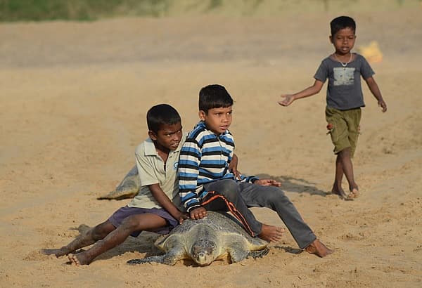 Story image