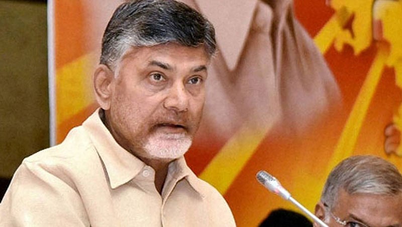 ಬಿಜೆಪಿಯೊಂದಿಗೆ ಮೈತ್ರಿ ಮಾಡಿಕೊಳ್ಳದೇ ಇದ್ದಿದ್ದರೆ ಇನ್ನೂ 15 ಸ್ಥಾನ ಹೆಚ್ಚು ಗೆಲ್ಲಬಹುದಿತ್ತು: ಚಂದ್ರಬಾಬು ನಾಯ್ಡು