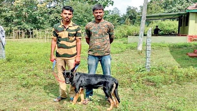 ಕೆಂಪೇಗೌಡ  ಅಂತಾರಾಷ್ಟ್ರೀಯ ವಿಮಾನ ನಿಲ್ದಾಣದಲ್ಲಿ ಇದೇ ಮೊದಲ ಬಾರಿಗೆ  ಶ್ವಾನದಳದಿಂದ ವನ್ಯಜೀವಿ ಅಪರಾಧ ತಪಾಸಣೆ