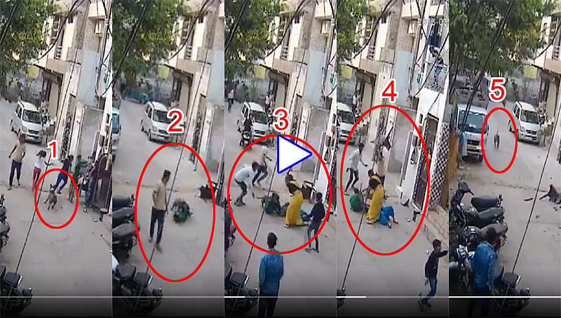 ಪಿಟ್ ಬುಲ್ ನಾಯಿ ದಾಳಿ: ದೆಹಲಿಯಲ್ಲಿ ಮೂವರಿಗೆ ಗಾಯ, ವಿಡಿಯೋ ವೈರಲ್