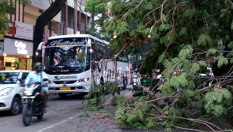 ಬೆಂಗಳೂರಿನಲ್ಲಿ ಬಿರುಗಾಳಿ ಸಹಿತ ಭಾರಿ ಮಳೆ, ಧರೆಗುರುಳಿದ ಮರ, ವಿದ್ಯುತ್ ಕಂಬಗಳು