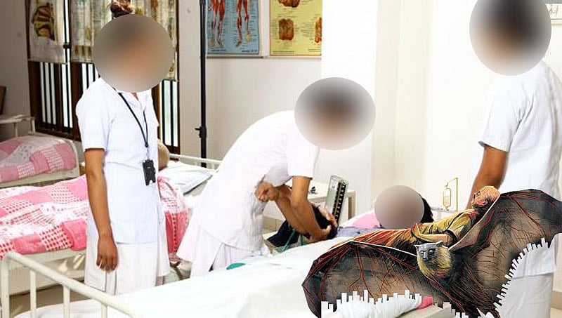 ಬೆಂಗಳೂರಿಗೂ ವಕ್ಕರಿಸಿತೇ 'ನಿಪಾಹ್' ಸೋಂಕು?: ತುರ್ತು ನಿಗಾ ಘಟಕದಲ್ಲಿ ಮೂವರು ದಾದಿಯರಿಗೆ ಚಿಕಿತ್ಸೆ!