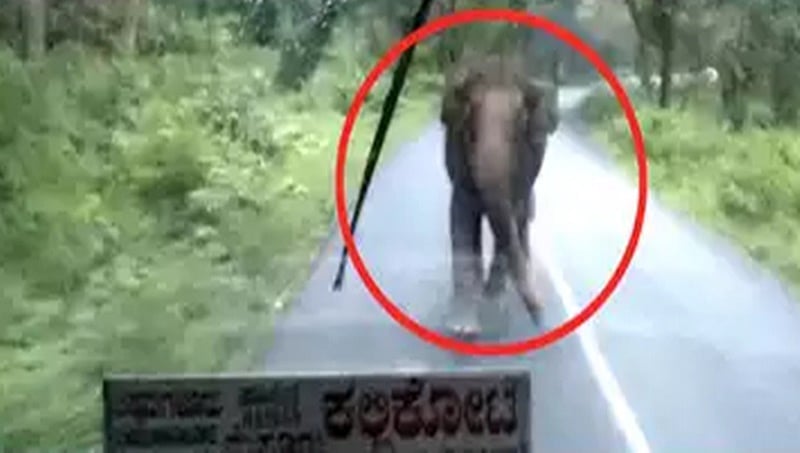 ಗ್ರೇಟ್ ಎಸ್ಕೇಪ್: ಕೆಎಸ್ಆರ್ಟಿಸಿ ಬಸ್ ಮೇಲೆ ಆನೆ ದಾಳಿ, 60 ಪ್ರಯಾಣಿಕರ ಎದೆ ಡವ ಡವ!