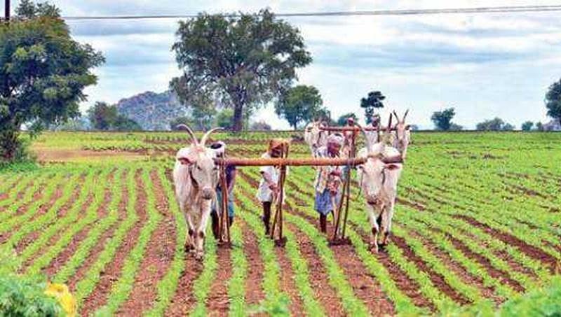 ಸಹಕಾರಿ ಬ್ಯಾಂಕ್ ಗಳ ರೈತರ ರೂ.11 ಸಾವಿರ ಕೋಟಿ ಸಾಲ ಮನ್ನಾಗೆ ಸರ್ಕಾರದ ಚಿಂತನೆ