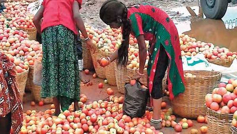 ಪಾತಳಕ್ಕೆ ಕುಸಿದ ಬೆಲೆ: ರಸ್ತೆಗೆ ಟೊಮೊಟೊ ಸುರಿದು ದಾವಣಗೆರೆ ರೈತರ ಅಸಮಾಧಾನ