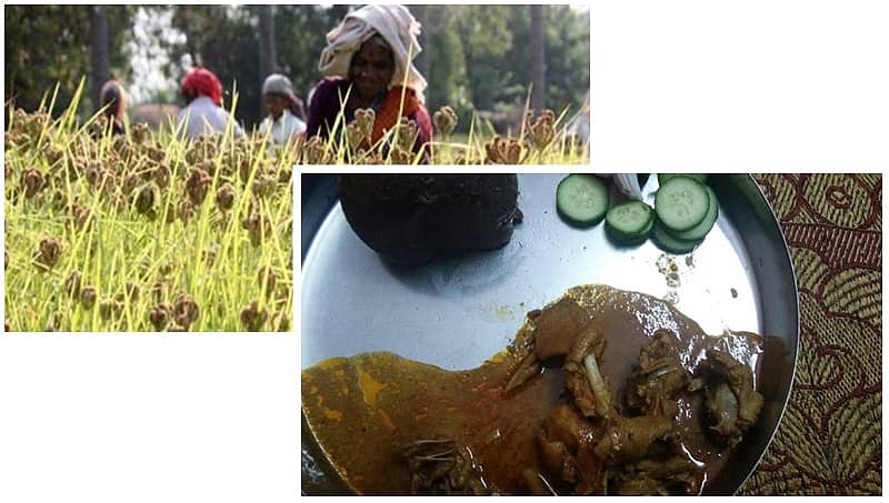 ರಾಗಿ ಮುದ್ದೆ, ನಾಟಿ ಕೋಳಿ ಸಾರು ತಿನ್ನಿ: ಸಿನಿಮಾದಲ್ಲಿ ನಟಿಸುವ ಅವಕಾಶ ಪಡೆಯಿರಿ