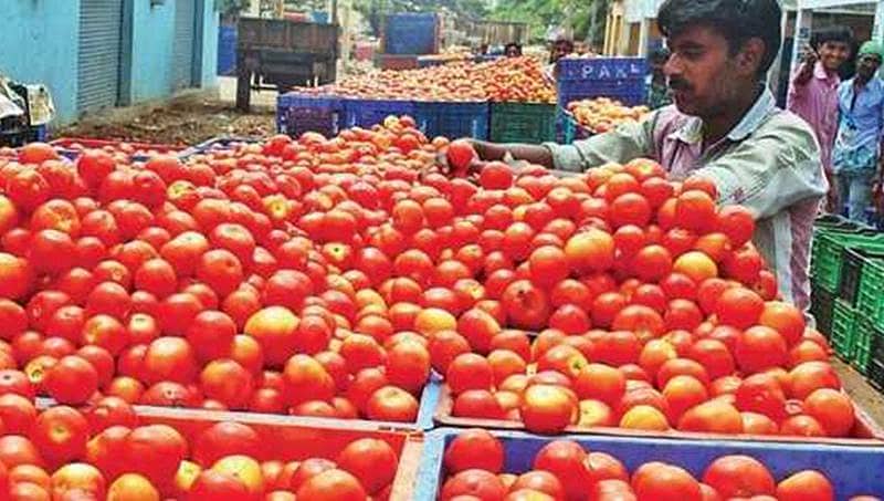ರೂ.3ಕ್ಕೆ ಕುಸಿದ ಟೊಮೆಟೋ ಬೆಲೆ: ಬೆಳೆಗಾರರಿಗೆ ಸಿಗದ ಪ್ರೋತ್ಸಾಹ