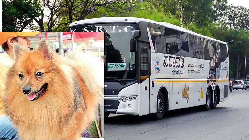 ಹವಾನಿಯಂತ್ರಿತ ಬಸ್ಸುಗಳಲ್ಲಿ ಇನ್ನು ಮುಂದೆ ಸಾಕುಪ್ರಾಣಿಗಳನ್ನು ಒಯ್ಯುವಂತಿಲ್ಲ