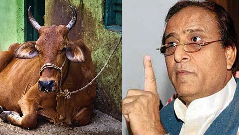 ಹಸುಗಳ ತಂಟೆಗೆ ಹೋಗಬೇಡಿ: ಮುಸ್ಲಿಮರಿಗೆ ಎಸ್ ಪಿ ಮುಖಂಡ ಅಜಂಖಾನ್ ಸಲಹೆ
