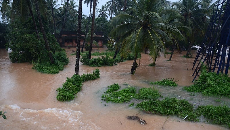 ಕರಾವಳಿ, ಉಡುಪಿ ಜಿಲ್ಲೆಗಳಲ್ಲಿ ಮುಂದುವರಿದ ಭಾರೀ ಮಳೆ; ಬೀಡು ಬಿಟ್ಟಿರುವ ಎನ್ ಡಿಆರ್ ಆರ್ ಎಫ್ ತಂಡ