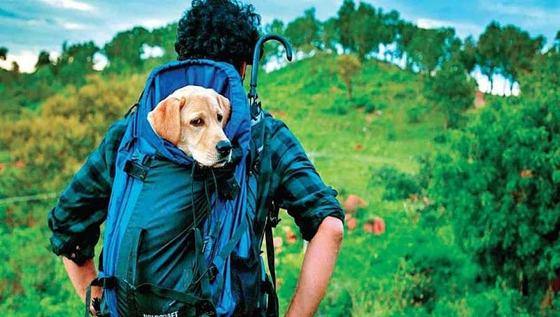 777 ಚಾರ್ಲಿ ಸೆಟ್ ನಲ್ಲಿ ರಾಜ್ ಬಿ ಶೆಟ್ಟಿಗೆ ಏನು ಕೆಲಸ?