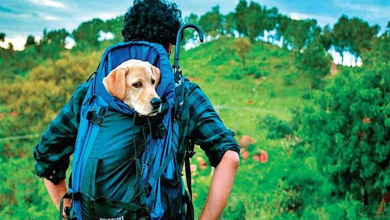 777 ಚಾರ್ಲಿ ಸೆಟ್ ನಲ್ಲಿ ರಾಜ್ ಬಿ ಶೆಟ್ಟಿಗೆ ಏನು ಕೆಲಸ?