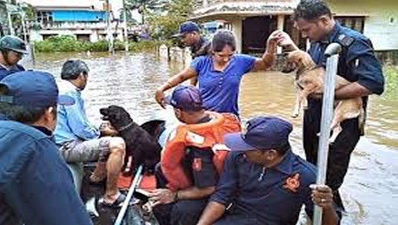 ಪ್ರಕೃತಿ ವಿಕೋಪಕ್ಕೆ ಕೊಡಗು ತತ್ತರ: ಕುಸಿಯುತ್ತಿರುವ ಬೆಟ್ಟಗಳು, ಕೊಡಗು-ಮಂಗಳೂರು ಹೆದ್ದಾರಿ ಬಂದ್