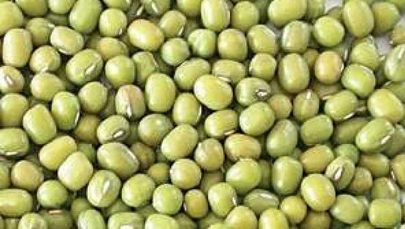 ಕರ್ನಾಟಕ: ಬೆಂಬಲ ಬೆಲ ನೀಡಿ ಹೆಸರು ಕಾಳು ಖರೀದಿಗೆ ಕೇಂದ್ರ ಒಪ್ಪಿಗೆ
