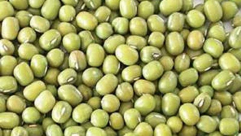 ಕರ್ನಾಟಕ: ಬೆಂಬಲ ಬೆಲ ನೀಡಿ ಹೆಸರು ಕಾಳು ಖರೀದಿಗೆ ಕೇಂದ್ರ ಒಪ್ಪಿಗೆ