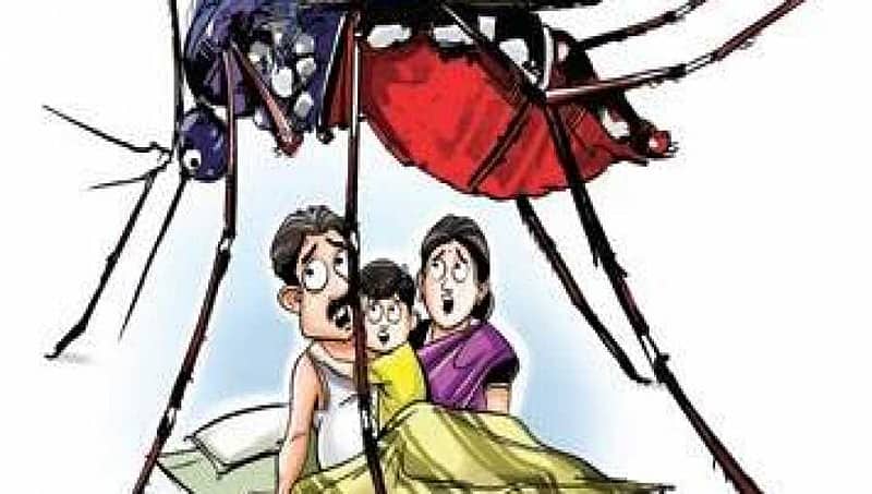ಹುಬ್ಬಳ್ಳಿ-ಧಾರವಾಡ ಅವಳಿ ನಗರಗಳ ಜನತೆಗೆ ಚಿಕುನ್ ಗುನ್ಯಾ ಹಾವಳಿ