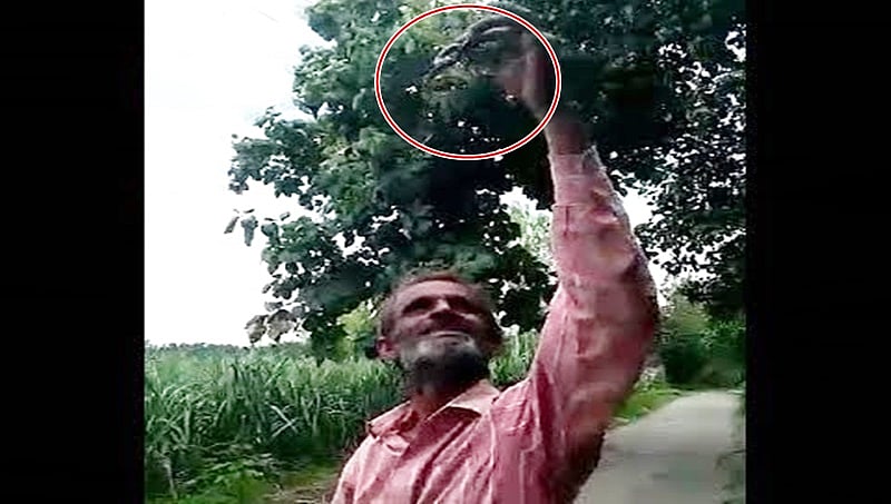 ಭಯಾನಕ ವಿಡಿಯೋ: ಕುಡಿದ ಮತ್ತಿನಲ್ಲಿ ಜೀವಂತ ಹಾವು ನುಂಗಿ 4 ಗಂಟೆಯಲ್ಲೇ ಶಿವನ ಪಾದ ಸೇರಿದ!